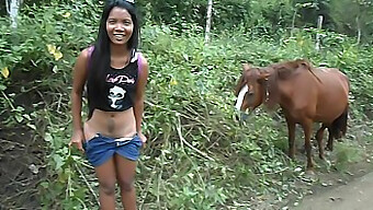 Asian Teen Heatherdeep Loves Giant Horse Cock And Squirts