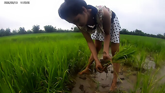 La Nudità All'Aperto Di Una Ragazza Asiatica Amatoriale Nel Campo Di Un Paddy