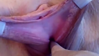 Pov Video Of Female Masturbation With Sex Toy Insertion