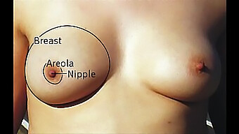 Una Mezcla De Varios Tipos De Tetas En Un Video