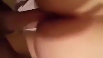 Arab Escort With Big Boobs In Algerian Homemade Video